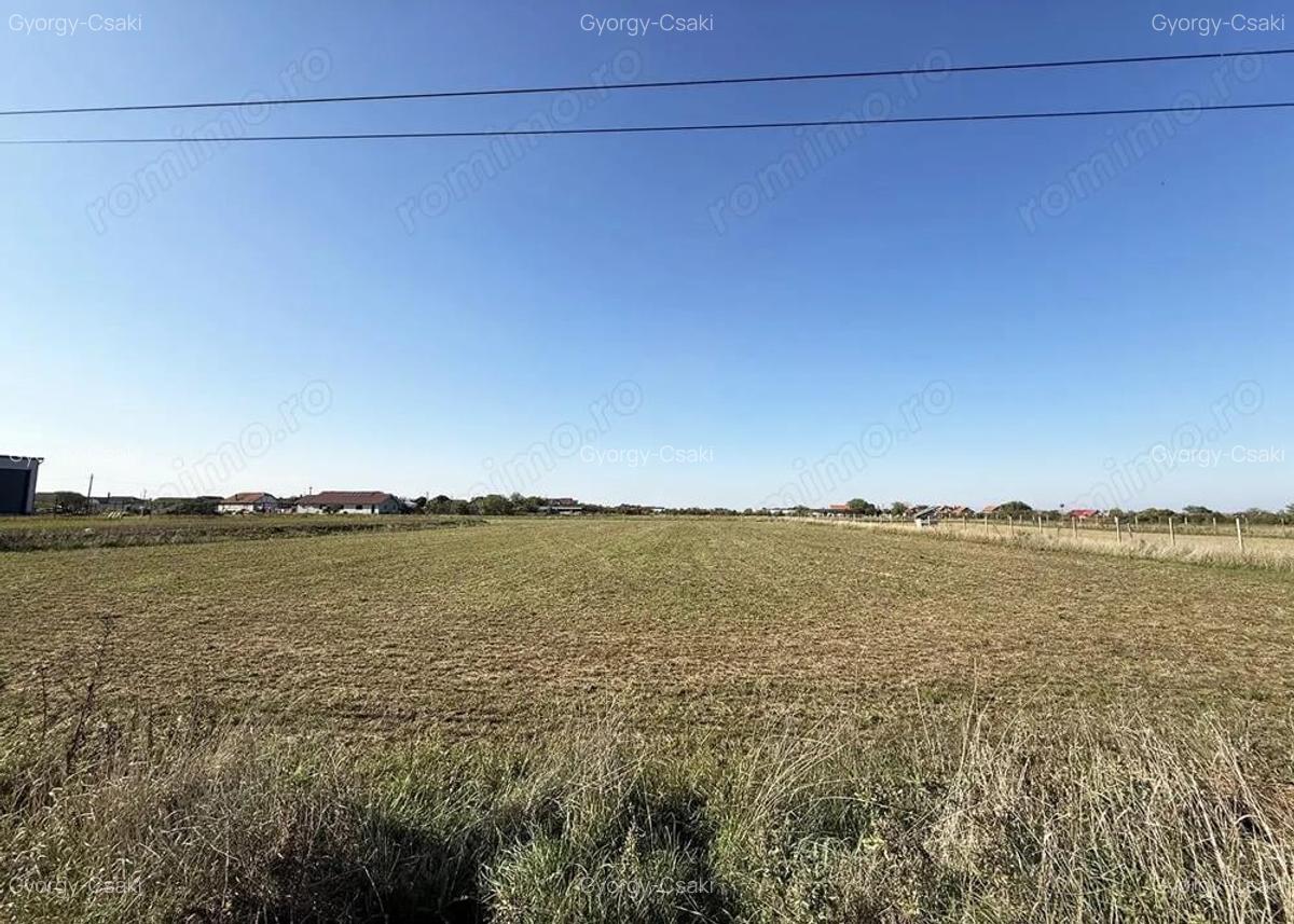 5000 mp. teren intravilan - Les - IMOBIHOR - 3