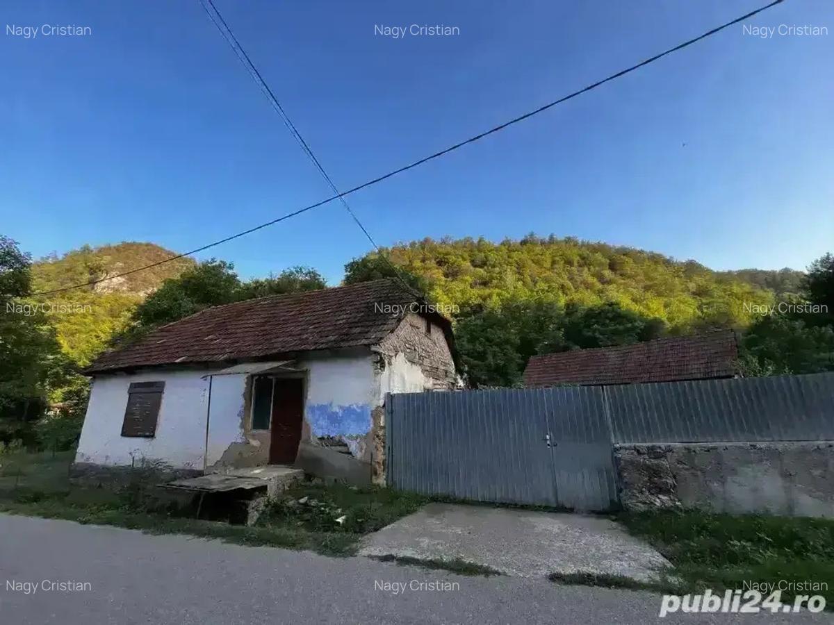 Casa de vanzare in Briheni - 2
