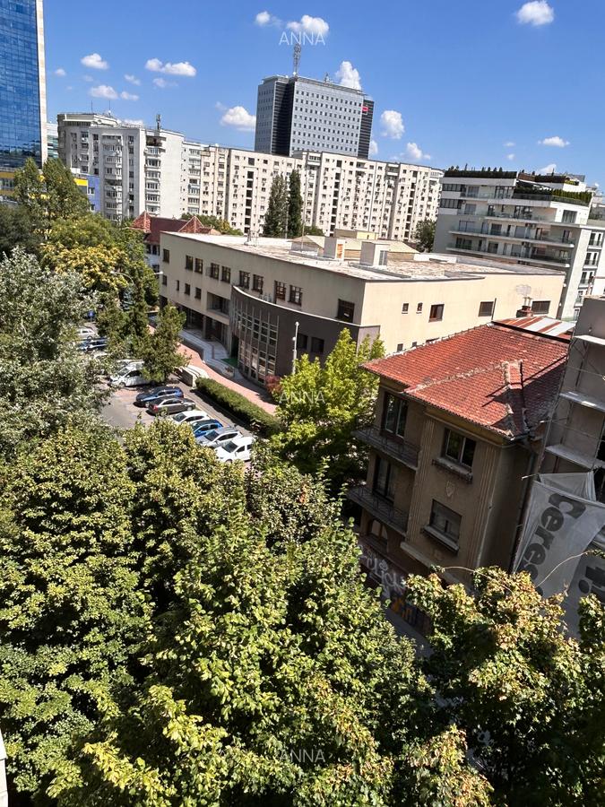 Piata Victoriei - Dr Felix, apartament 2 camere - 9