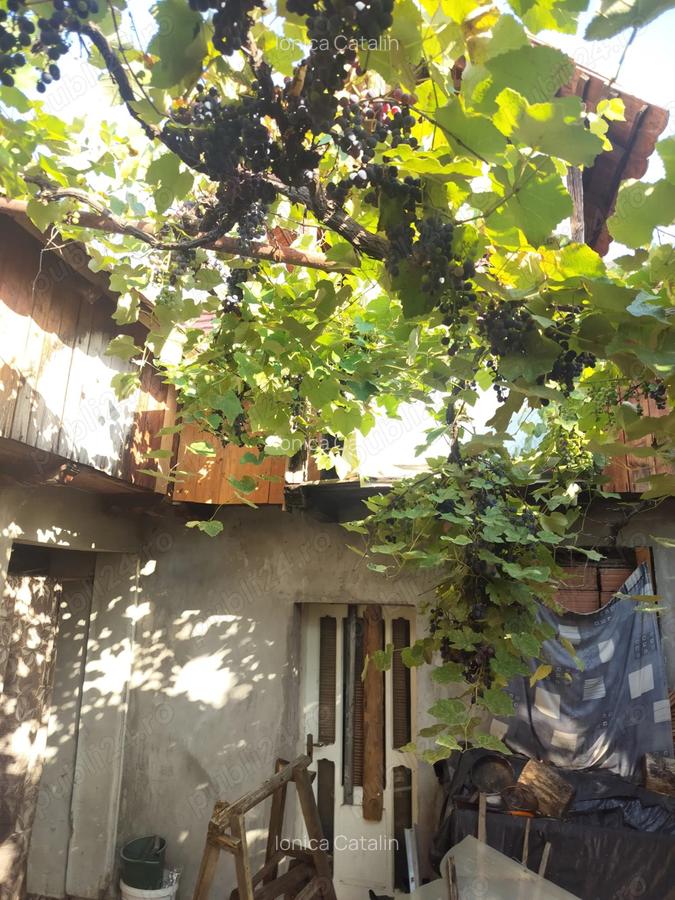 Casa de vanzare Comana Oituz jud Bacau - 4