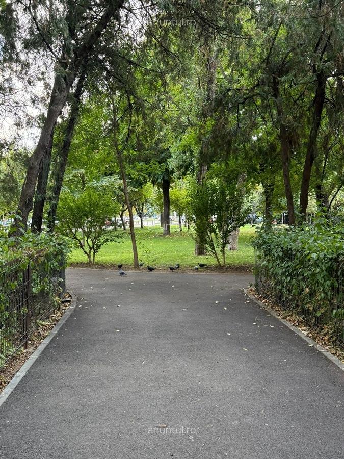 Drumul Taberei, Sibiu - 10