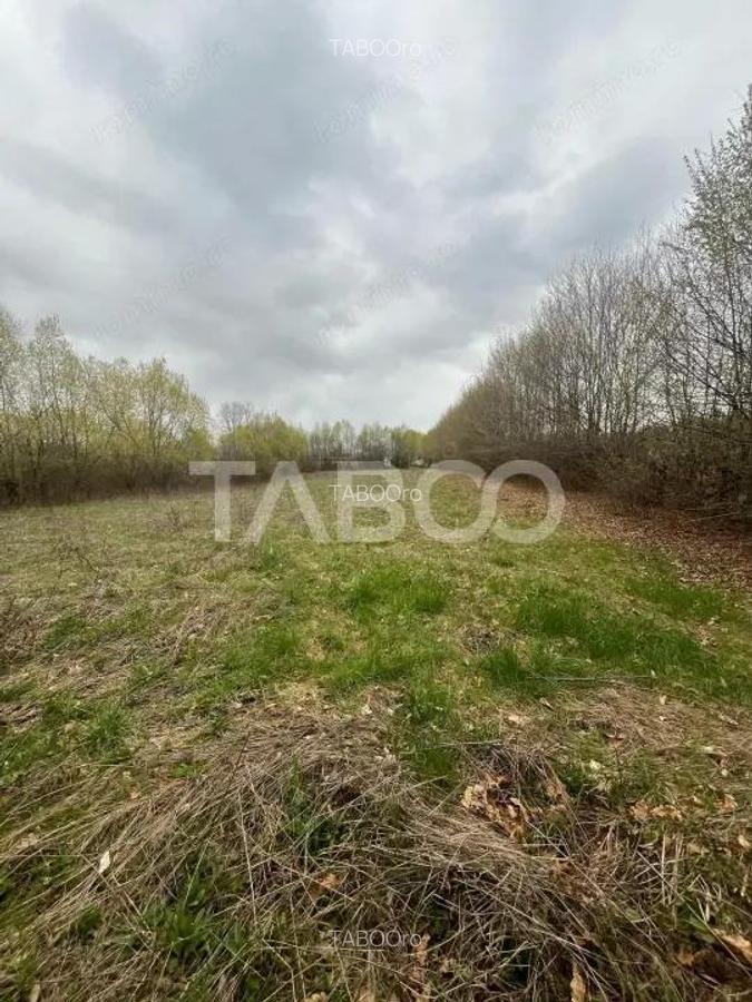 Teren intravilan de vanzare 550m front 21 m utilitati la 120m Cisnadie - 5