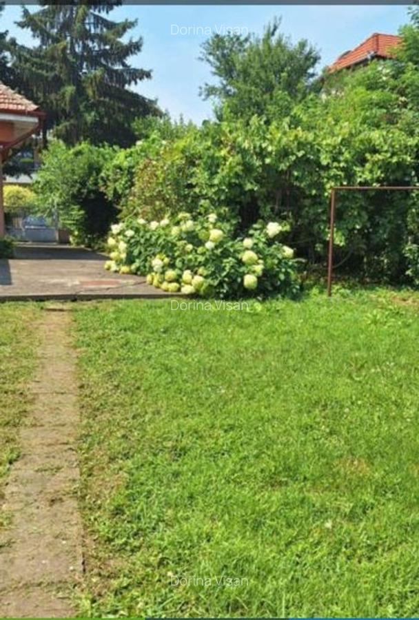 Casa individuala cu teren generos - 4