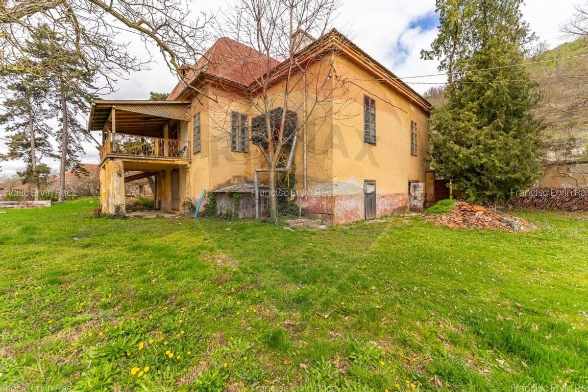 Conac aristocratic secolul XIX , domeniu  2,5 hectare -- Paulis, Arad - 5