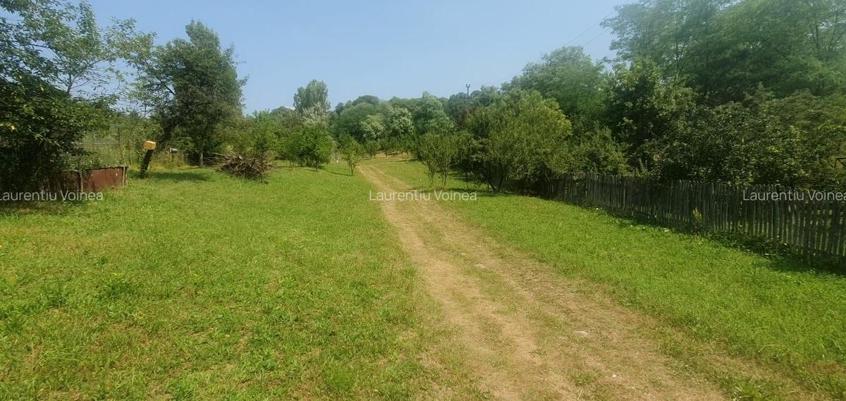 Zona Slanic Prahova,in mijlocul naturii - 12