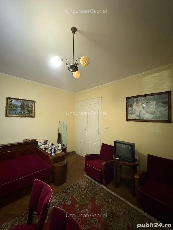 Apartament deosebit in inima Timisoarei - 6