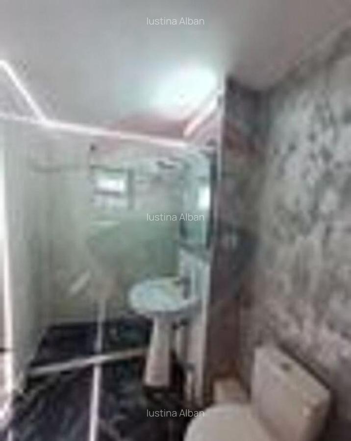 Apartament cu 2 camere de inchiriat in zona Central - 6