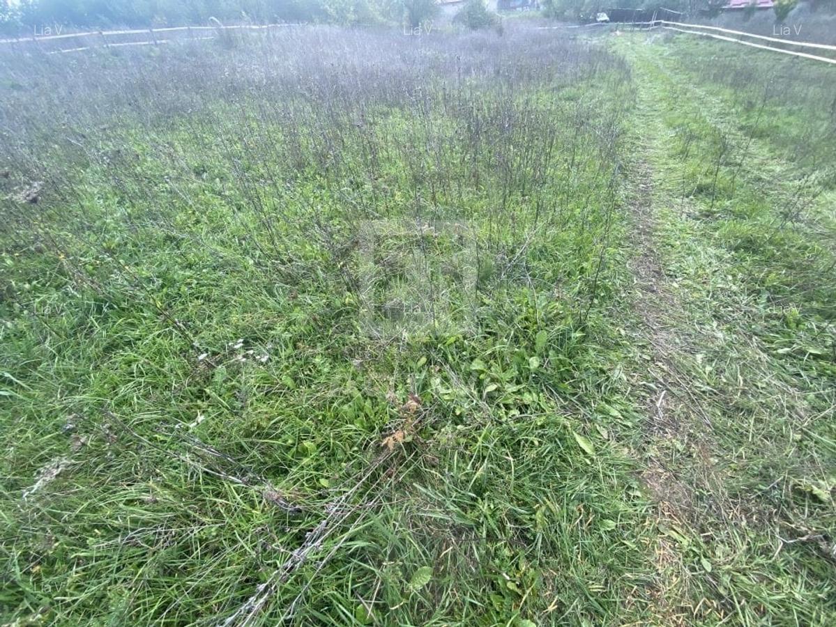 Teren Construcții intravilan de 1500 mp, în Tureni - 2