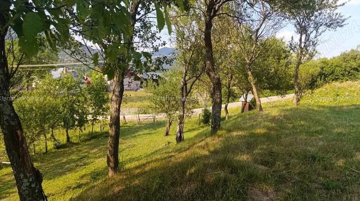 Super oferta! Teren 4874 mp in Arefu jud Arges - 4