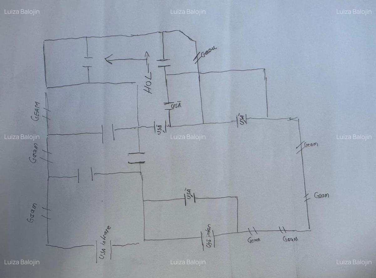 Spatiu cu alta destinatie Lipovei !!! - 4