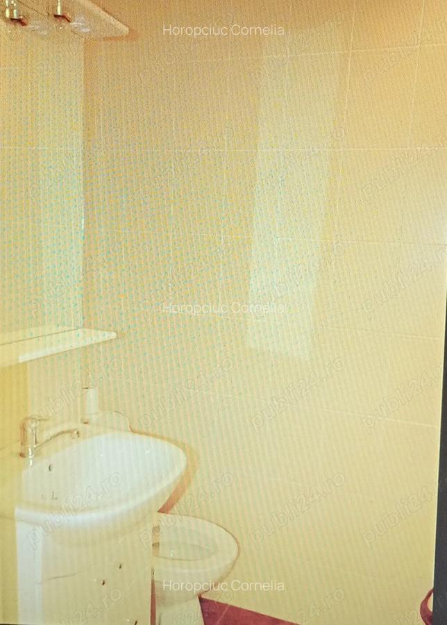 Inchiriez apartament Hunedoara ,zona Castelul Corvinilor - 10