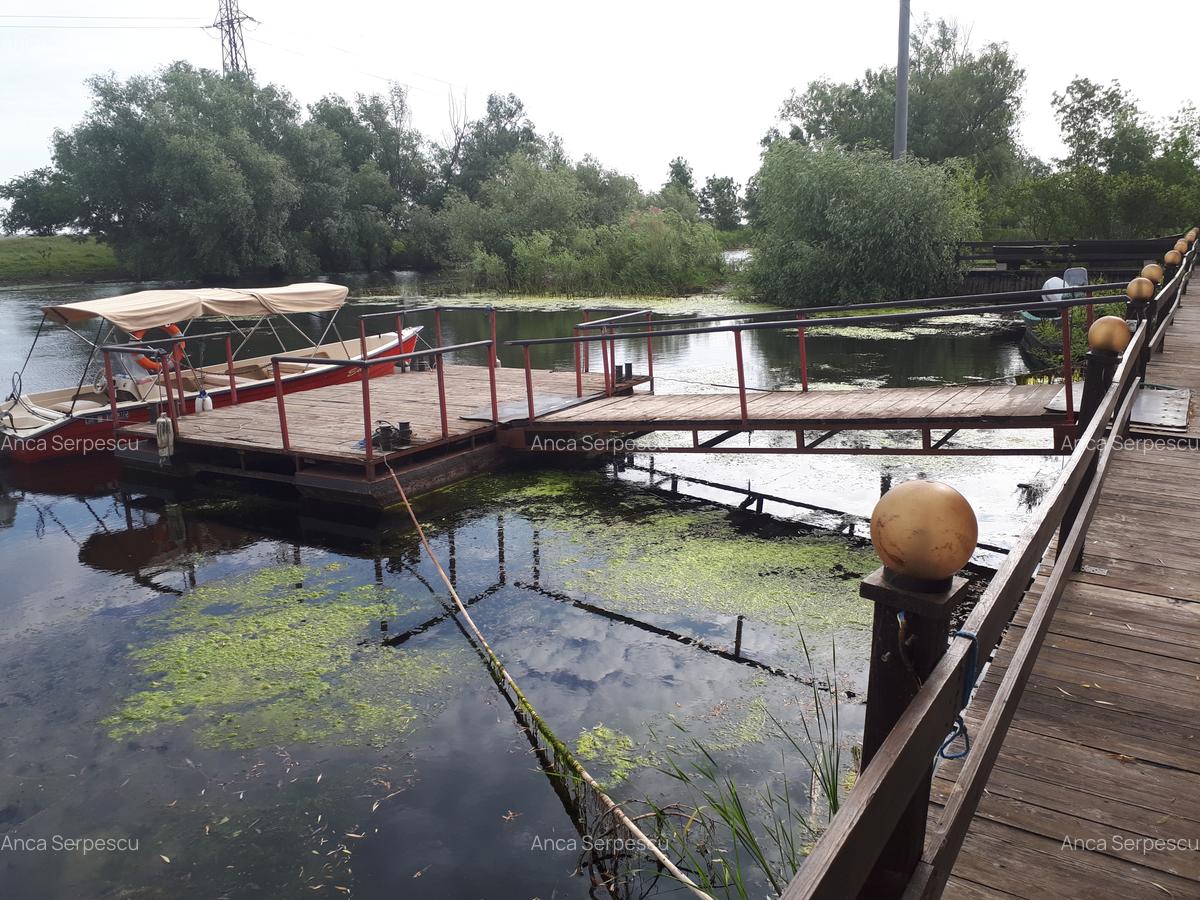Pensiune în Crișan - Afacere turistică complet funcțională în Delta Dunării - 3