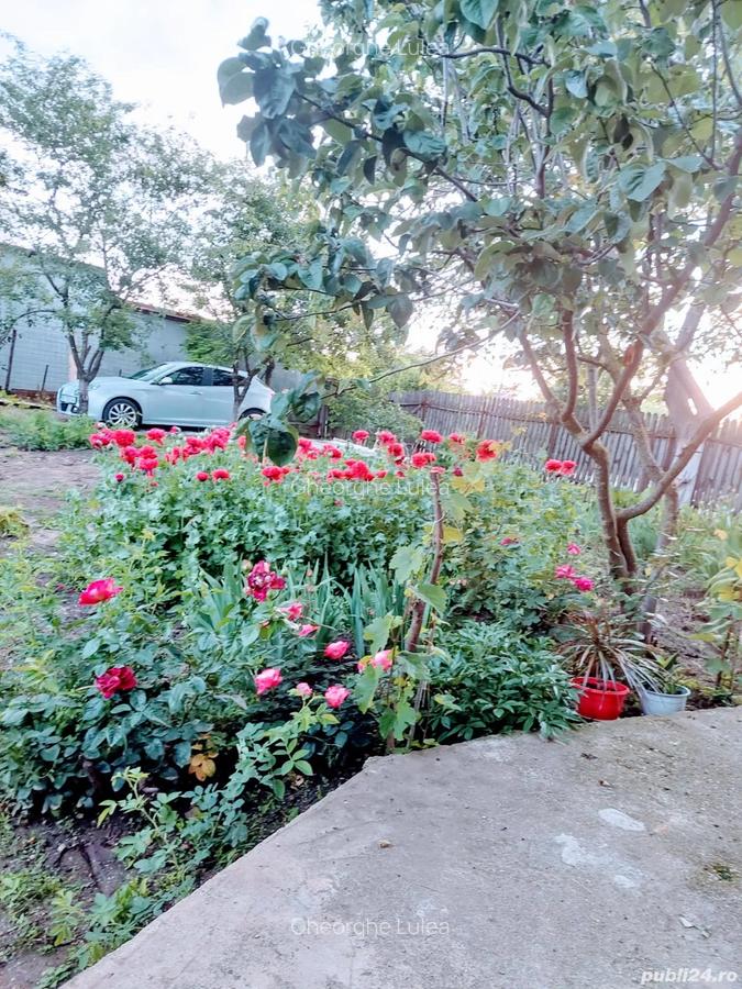 Vand casa la ?ara, Rasmire?ti Teleorman 46000e - 6