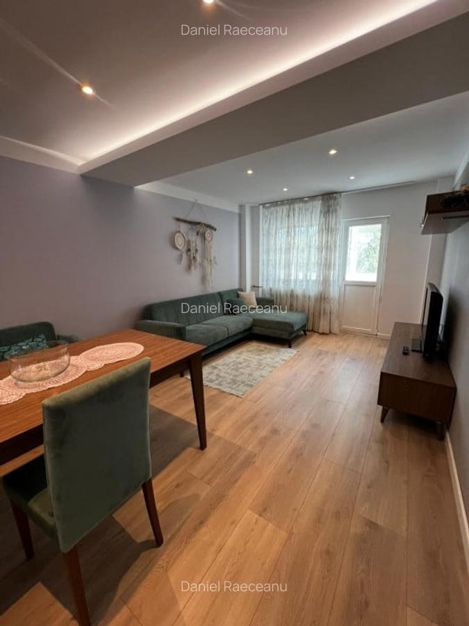 Apartament Victoriei -  Banu Manta - 1