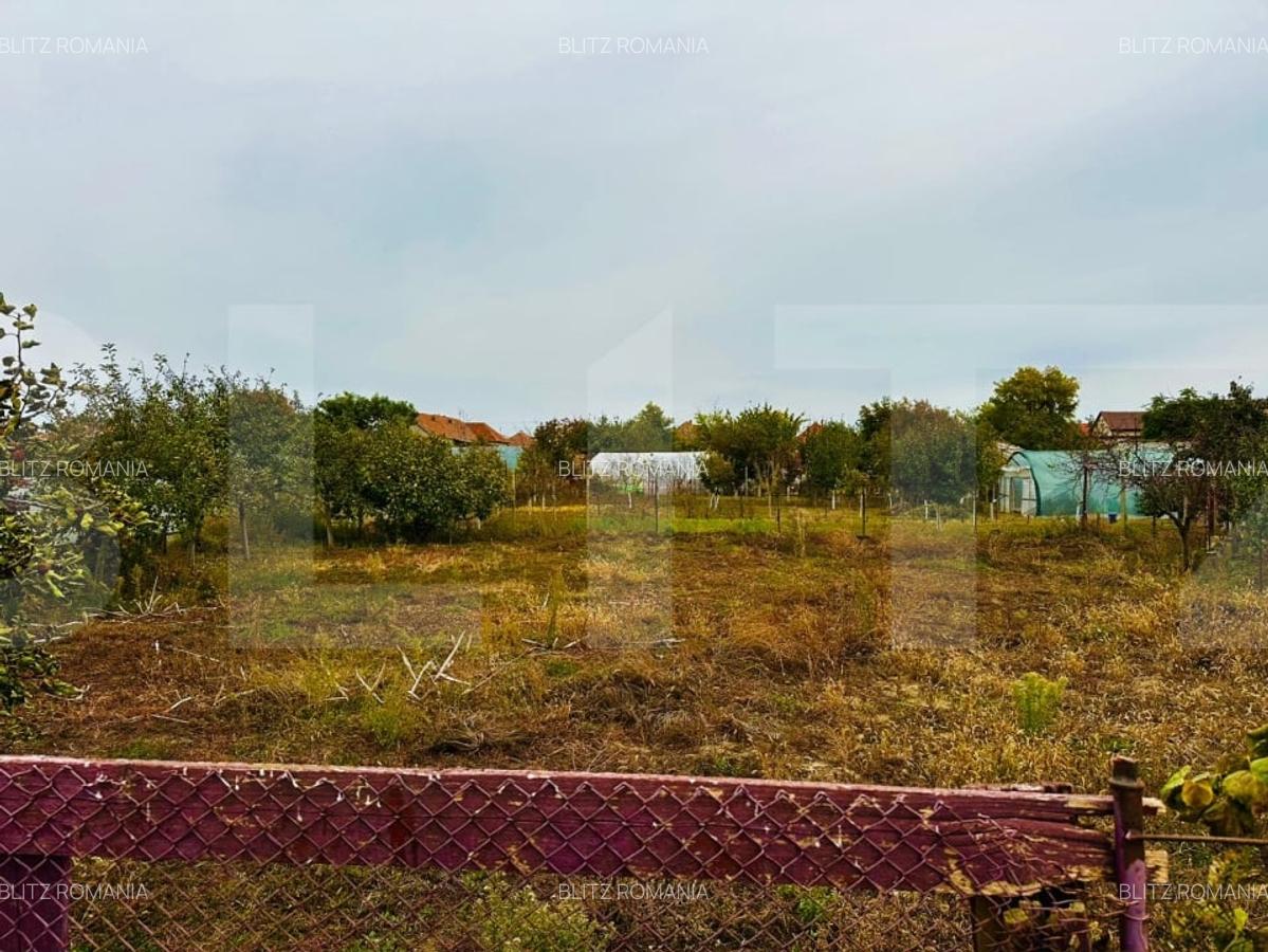 Casa de vanzare in Macea, teren 942 mp - 4 Casa de vanzare in Macea, teren 942 mp - 4