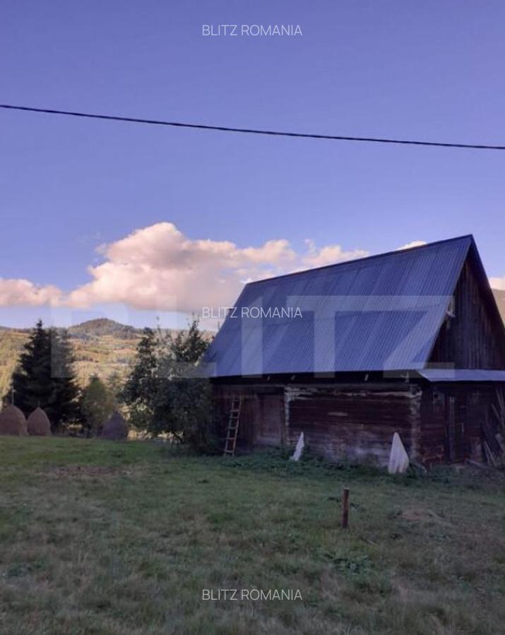 Casa la munte, cu teren 13383 mp, zona Horea - Apuseni - 1