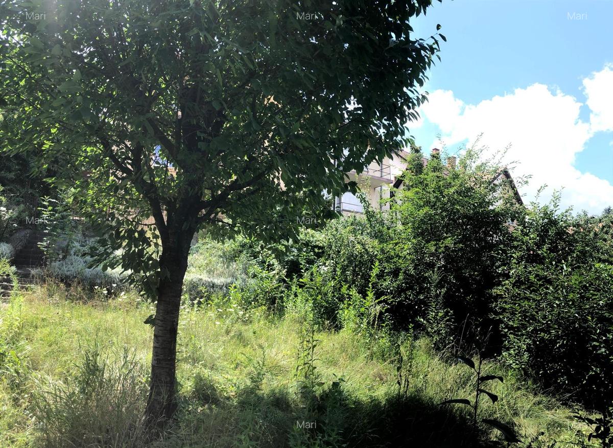 Casa individuala, Centrul Istoric - 1