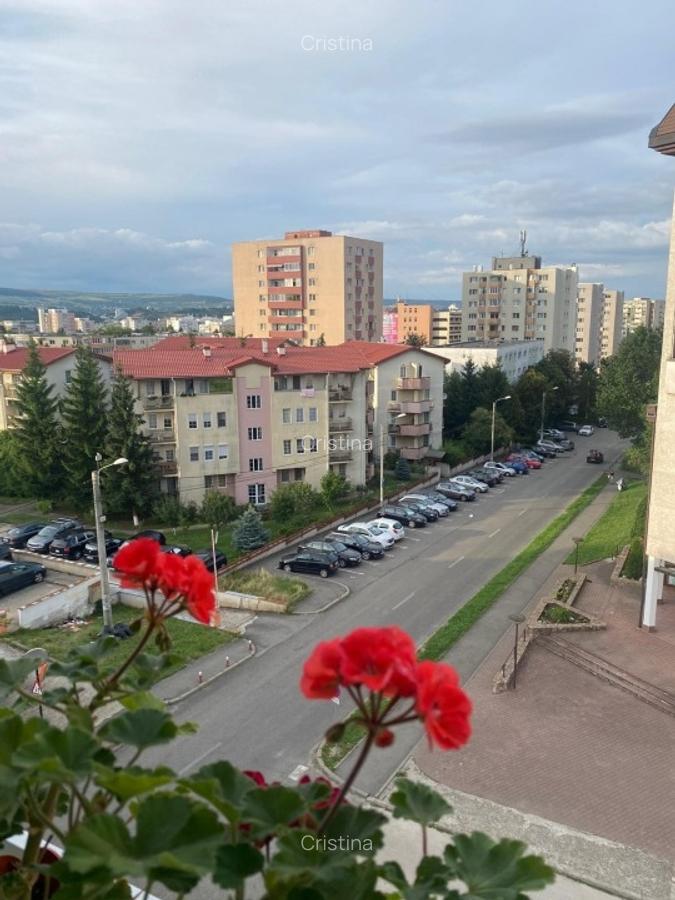 Vand apartament 1 camera, Mănăștur, strada Bucegi, in spate la Petrom - 13