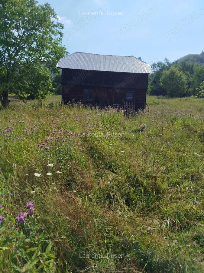 Vand casa si teren Vadu Oii, Gura Teghii - 4