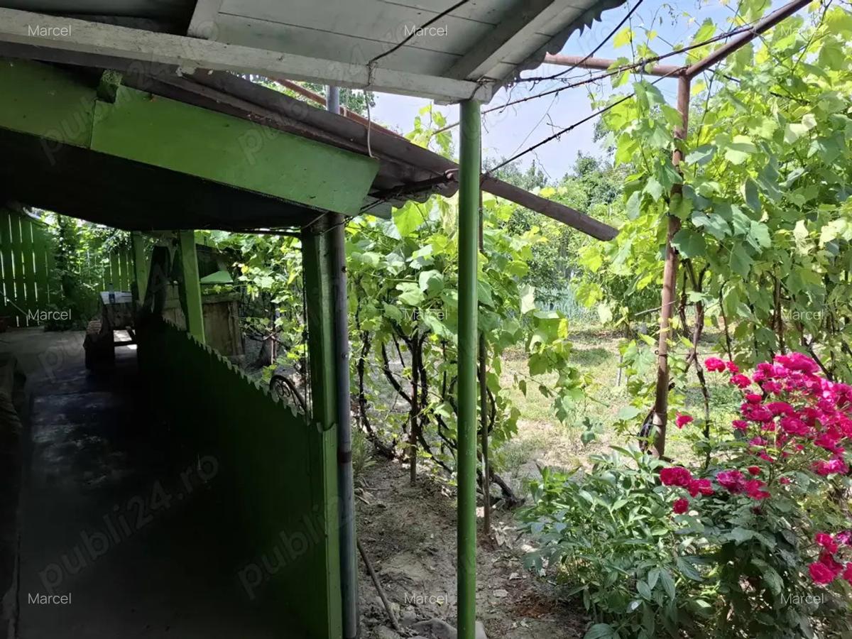 Vand proprietate in comuna Nanesti Vrancea - 3