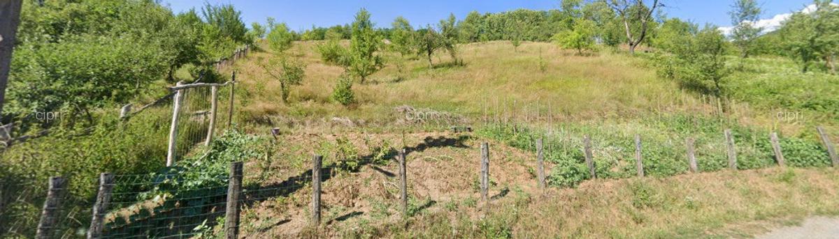 Casa ?araneasca sat Micane?ti (Zam-HD) cu anexe vechi tradi?ionale - 5