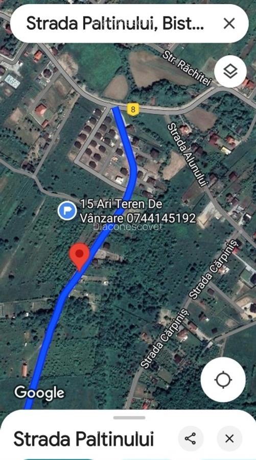 Teren 15 ari cu verdeata si panorama superba Str Paltinului Bistrita - 6