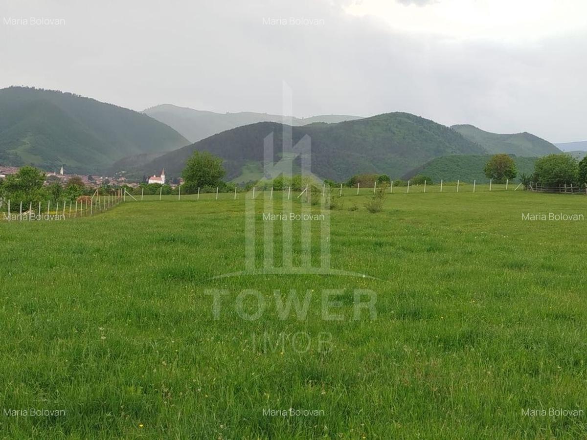 Teren de vinzare in Tropini Vechi - 3