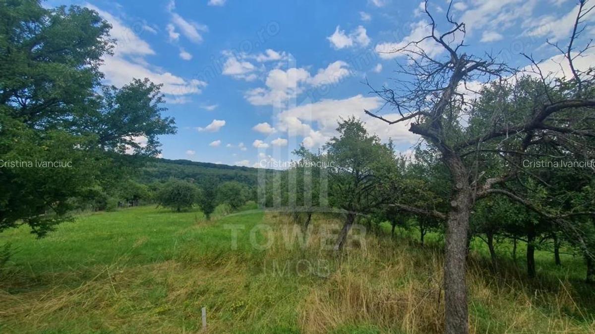 Teren de vanzare in Sibiel . - 1