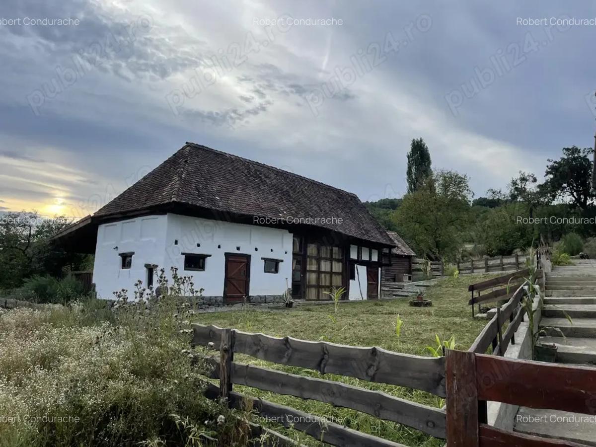 Vand Casa si gospodarie la tara - 4