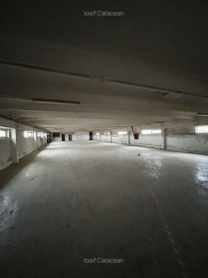 Hala Industriala Gradiste De Inchiriat - 11