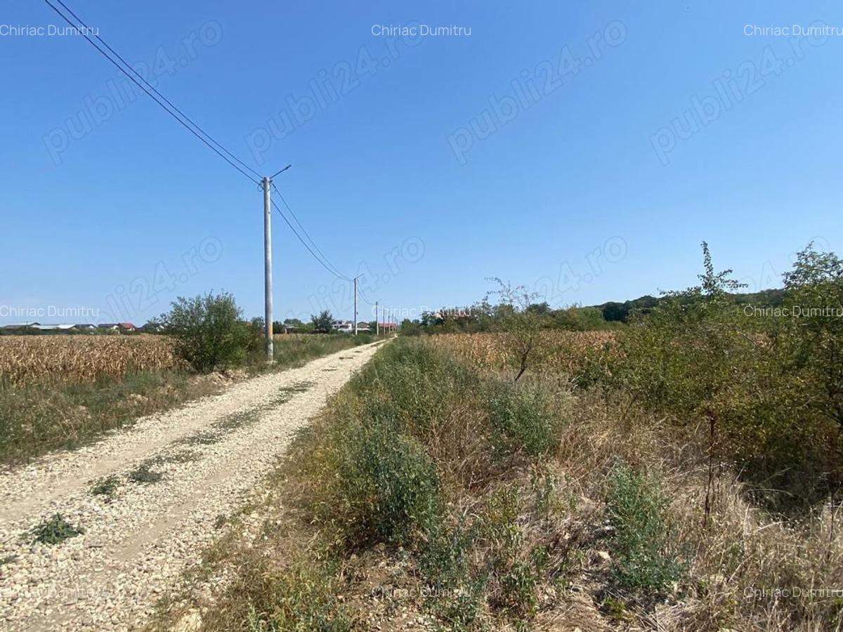 Domnesti Teghes - teren de vanzare parcelat - 10.000mp cu deschidere la padure - 5