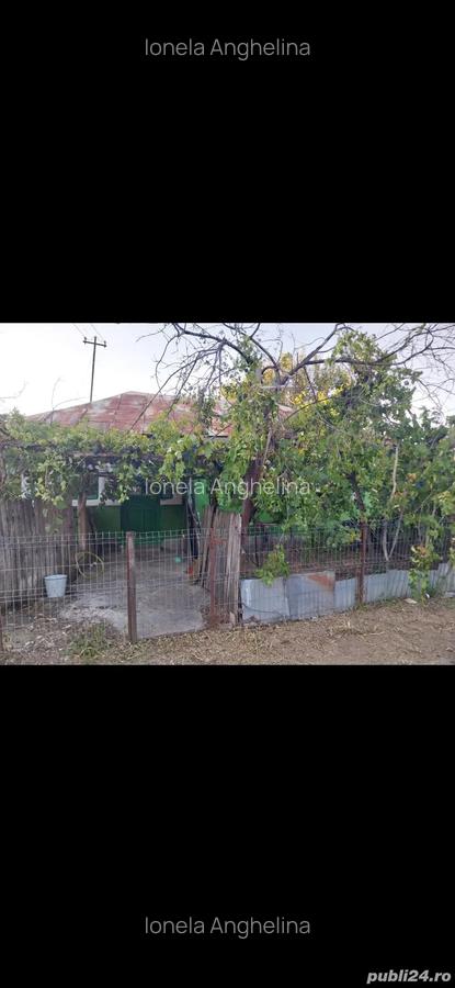 Vand casa in Teleorman, sat Albeni - 1