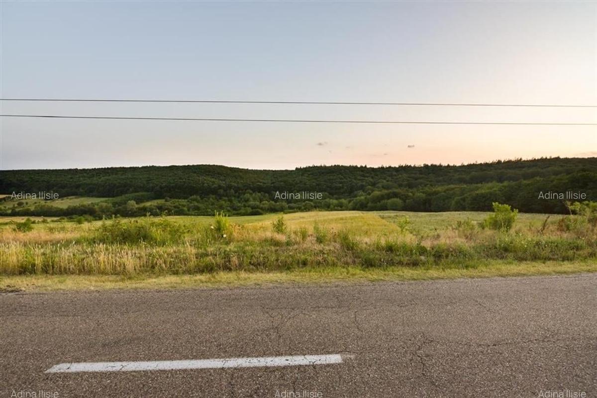 Teren Construcții intravilan de 11500 mp, în Lăzăreni - 5