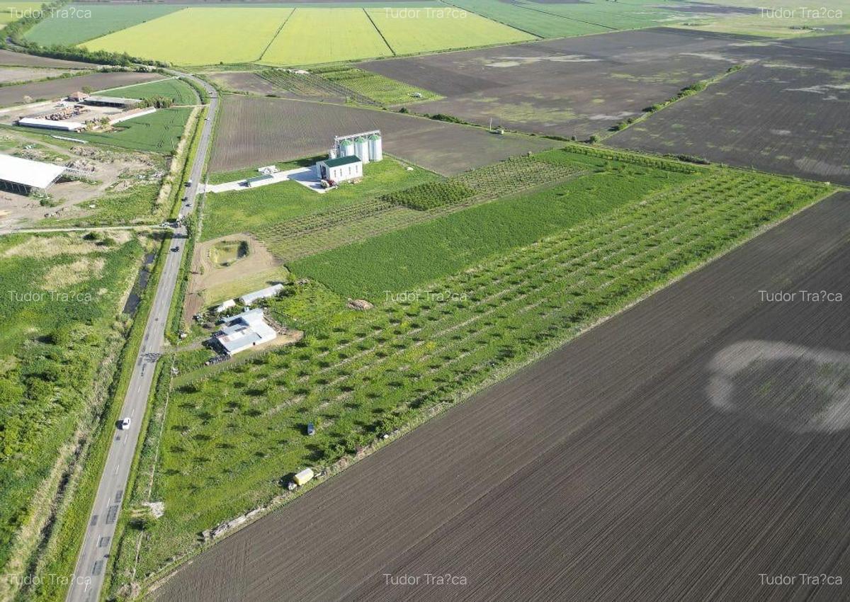 Livada de nuci ?i pruni 2.4ha in Varia?ul Mare - 16