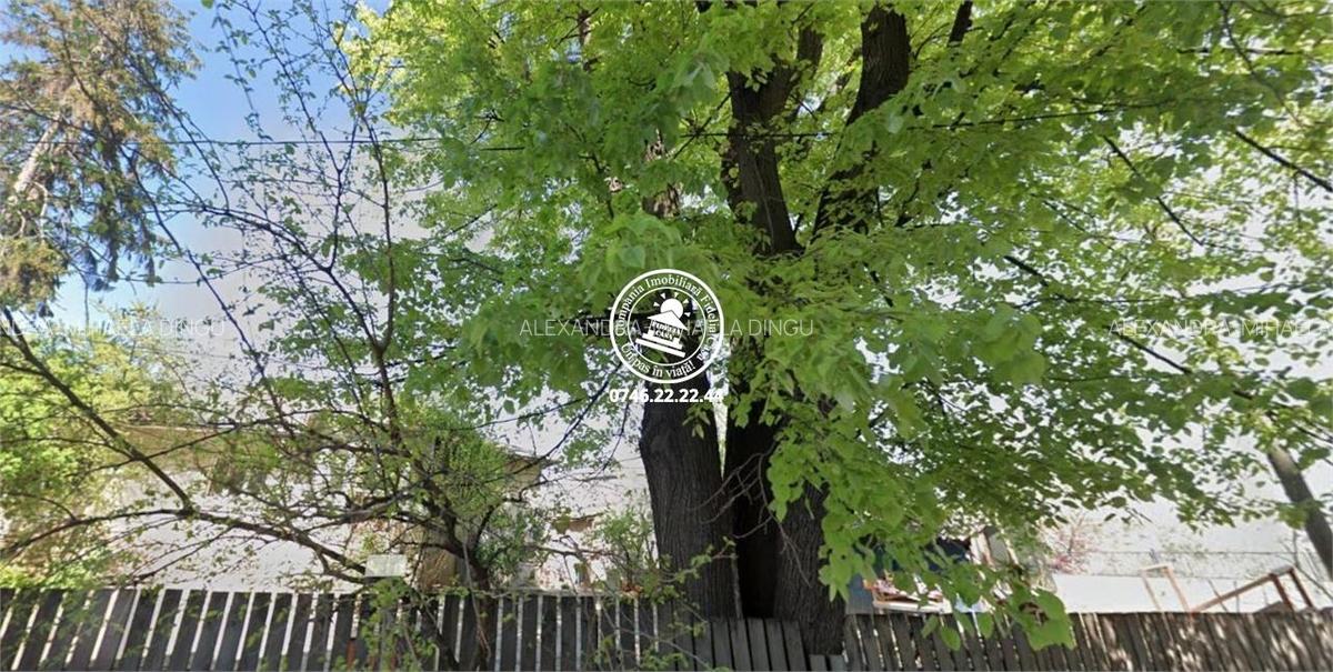 Teren de vanzare Iasi, Centru - 2
