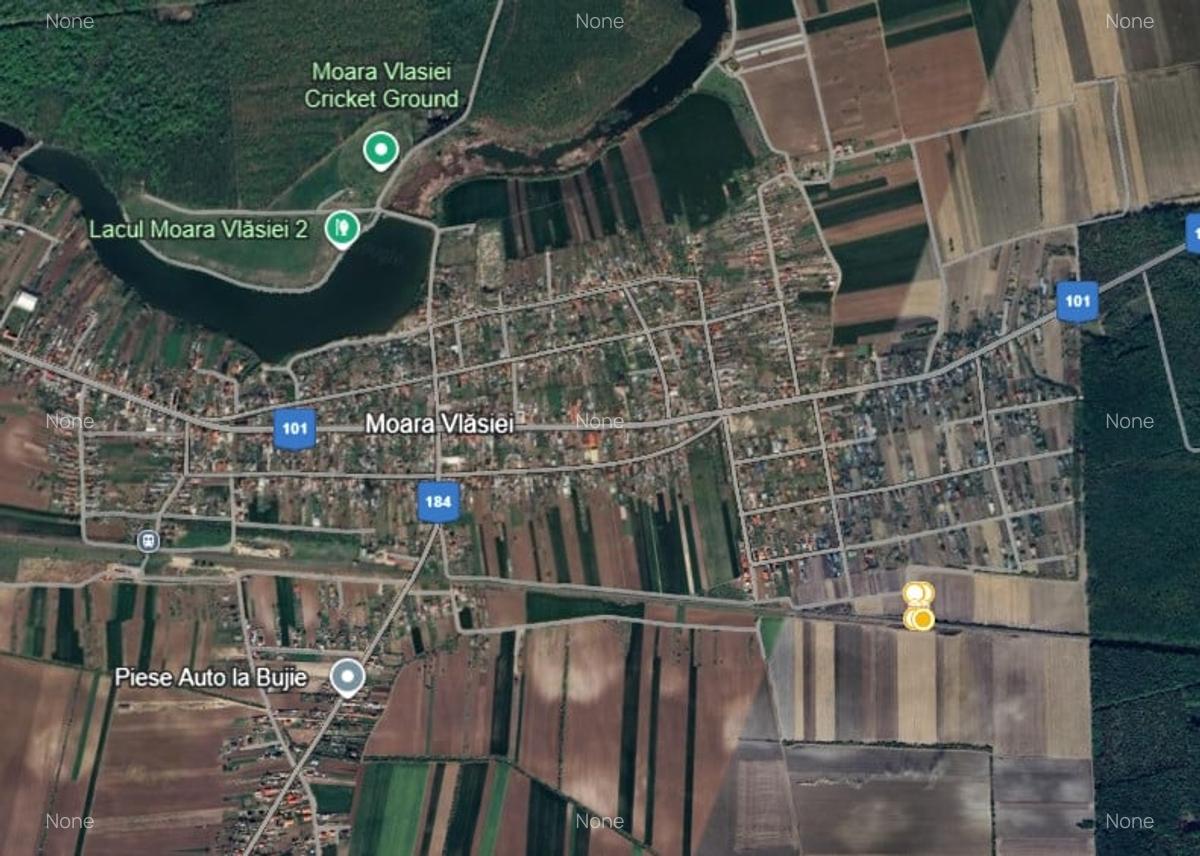 De vanzare | Teren 1500 mp | Moara Vlasiei - 4