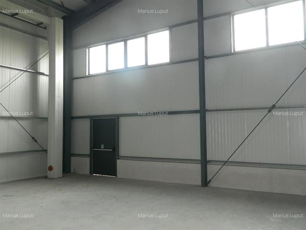 Spațiu industrial, 1000 mp în Torontalului - 6
