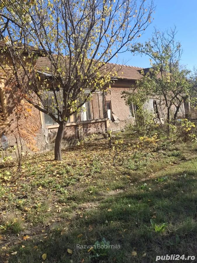 Vand casa in comuna Branceni - 4