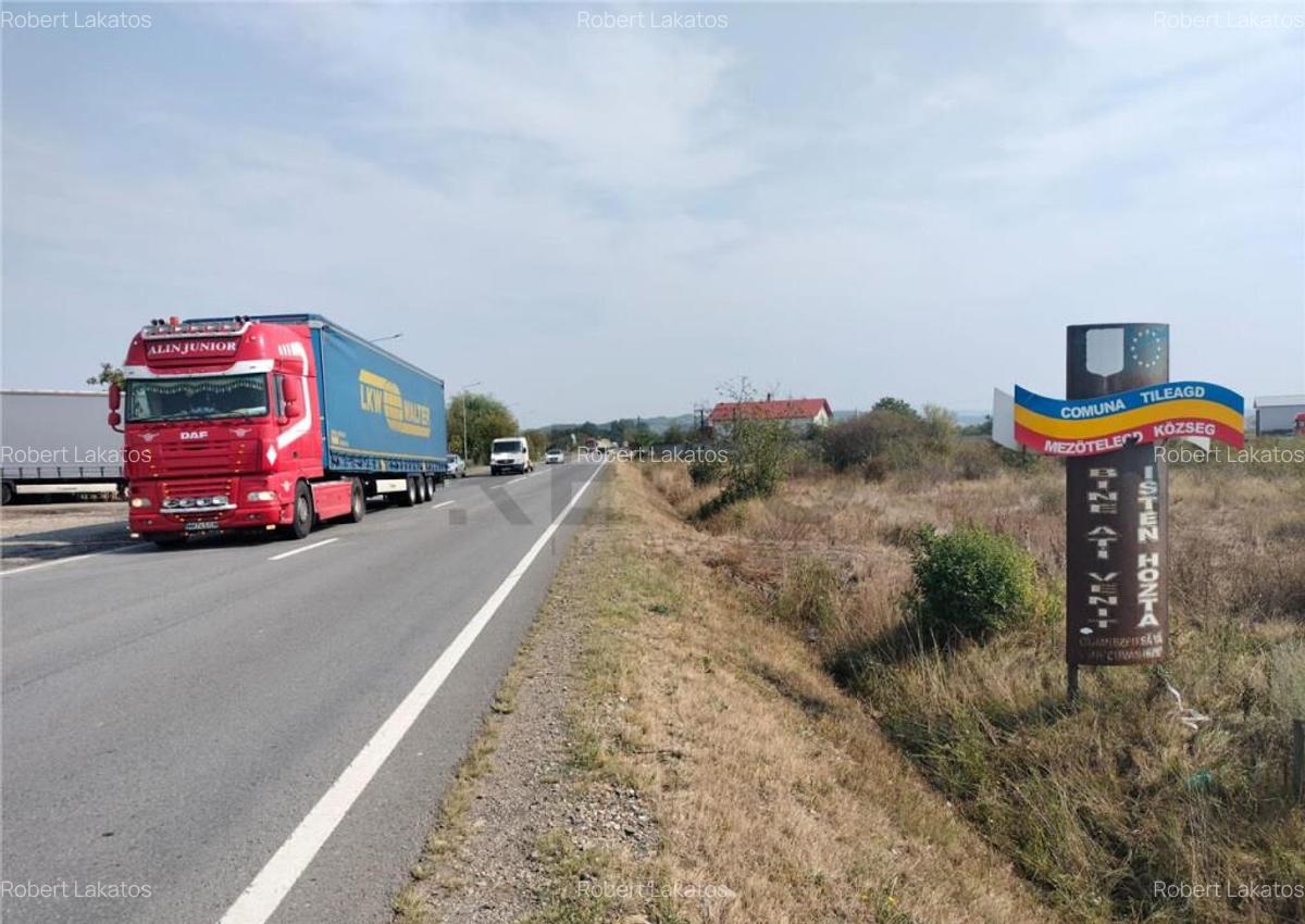 RECO teren intravilan tileagd - 6