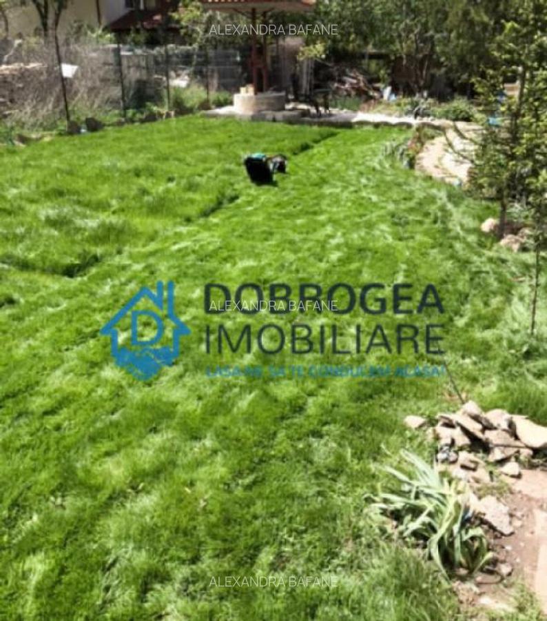 Vila Mineri, D+P+1, teren 1600 mp - 13