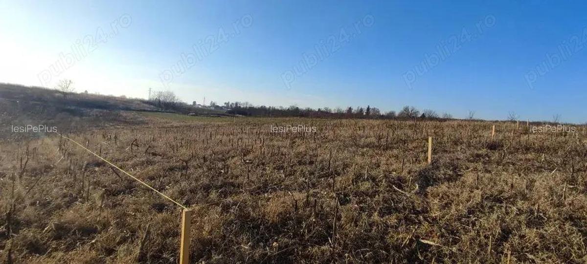 Teren 6.000 mp cu deschidere 30 m la drum asfaltat utilita?i la poarta, zona Peri?, 30 min BANEASA - 3