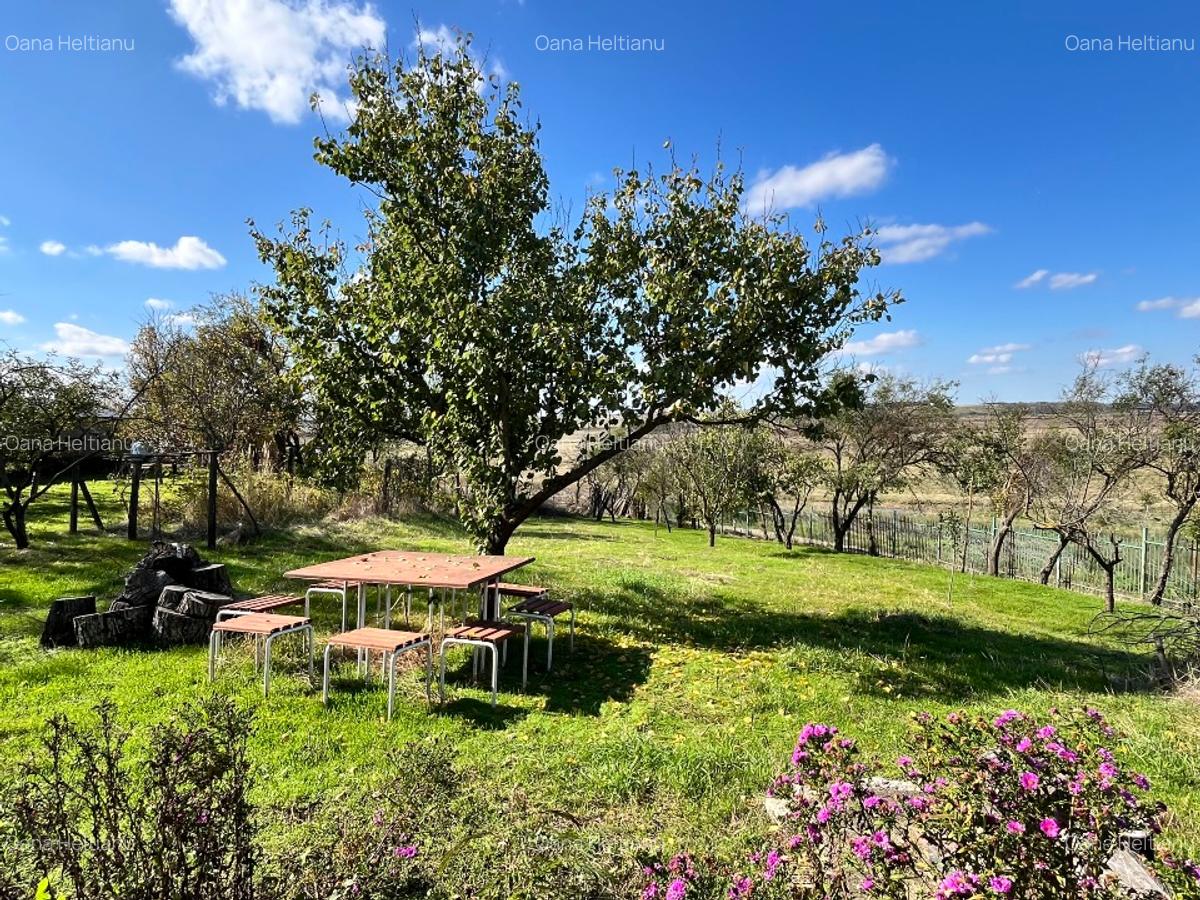 Casă îngrijită, teren generos, aproape de Bucuresti Vasilati, 80.000 negociabil - 10 Casă îngrijită, teren generos, aproape de Bucuresti Vasilati, 80.000 negociabil - 10