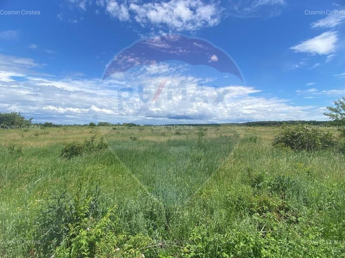 DE VANZARE Teren 5,000mp Sisesti Drumul Piscul Mosului - 4