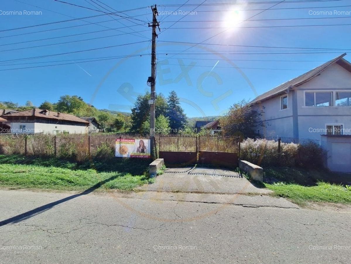 Teren Vacarea ,Mihaiesti , Arges - 5381 mp - 4