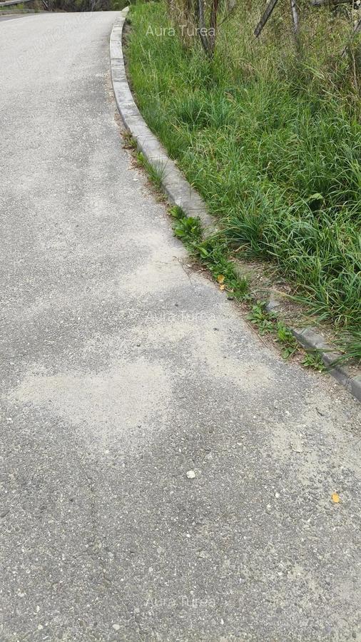 Teren intravilan -Predeal-Paraul Rece - 8