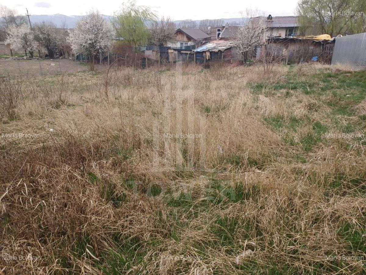 Teren Intravilan 652mp | Zona Gușterița - 2