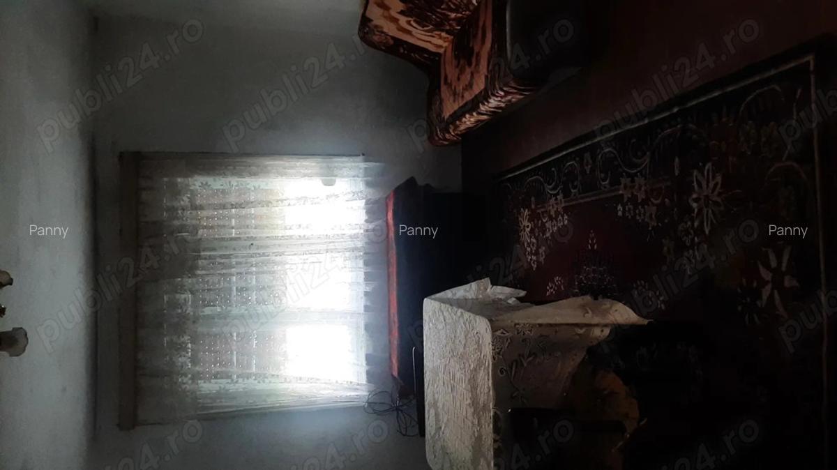 Proprietar Vand Casa in Bihor - 9