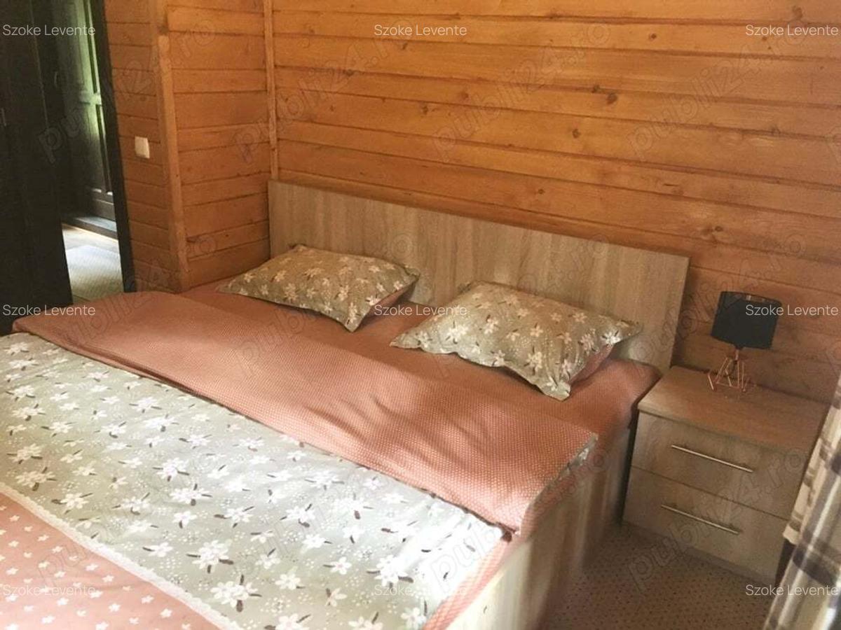 Casa din grinzi pe marginea paraului Borzont - 7