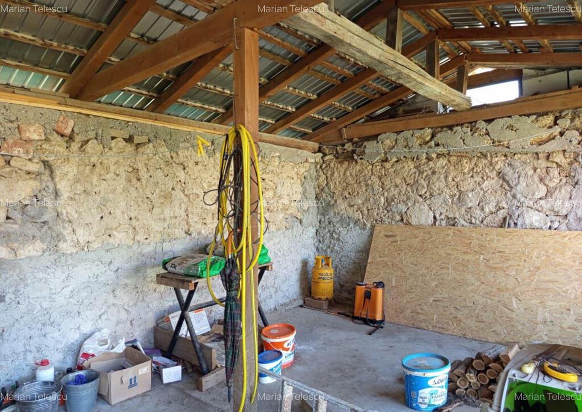 Ilidia, Casa de Vacanta, 3 Camere, 899mp Teren, Usor Negocia - 16