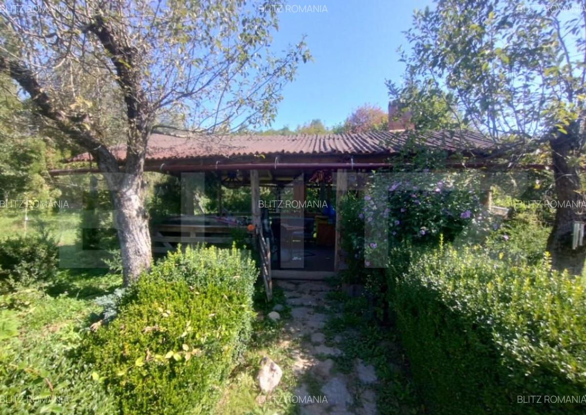 Teren extravilan 73 ari + cabana+lac de pesti,zona Slatinita - 9